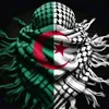 tareq.hfd24