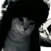 therussiancat