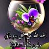 mo.haed020