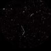 areej.mhamad0