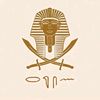 farah.mohammed637