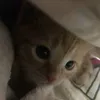 tkwthaa