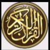 user6903477362628