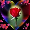 shah_mohammad_