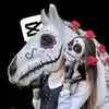 isa_cavalo_crioulo