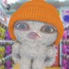 putri1980_342718