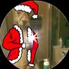 user61162067081438