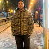 cherigui.mohamed5