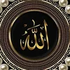 chelkh.omar.nianr