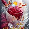 user3601339254688