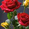 katty3738