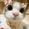iimurloveyy