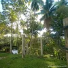 norjehandari