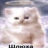 shanseii_0
