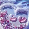 purple_2808
