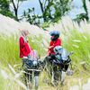 adhira_arabi