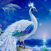 user57282250412446
