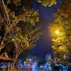 lee_pratama20