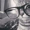 vxharry_