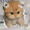 kim_kim_my4