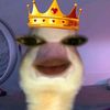 _melllllllllll1