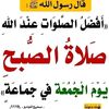 baba.marwan6