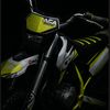 sheepdog_42