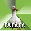 vbfhe