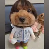 user_24hmissanh01