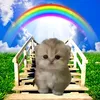 favella_naxyi