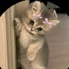 mariam38540