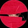 zxrl24.lina