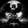 sab4r_11.9