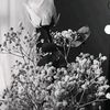 .sa_534