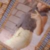 flor.solorzano1