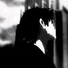 yanzx_298
