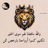 user6314228578335