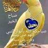 hanaaahmed4229
