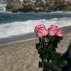 v_jlr7