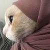 مغفرة 🌸MEKFIRA