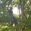 anna_2011_31.03