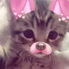 jackie_cute86