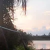 emkothekhoc