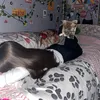 вайпершaྀིྀི