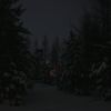 nikakislotkina