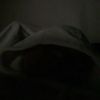 muhdalhaqeem_