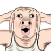 Quắc Đờ Heo