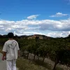 max_grd3o