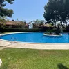tienesegarro
