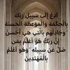 narjesamer313
